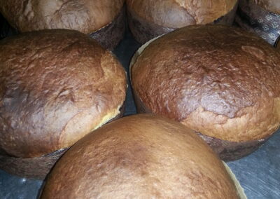 panettoni artigianali